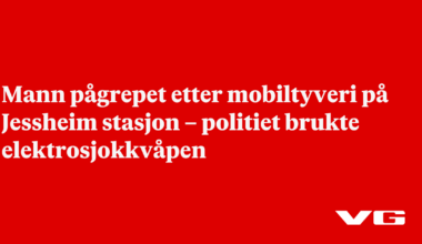 Mann pågrepet etter mobiltyveri på Jessheim stasjon – politiet brukte elektrosjokkvåpen
