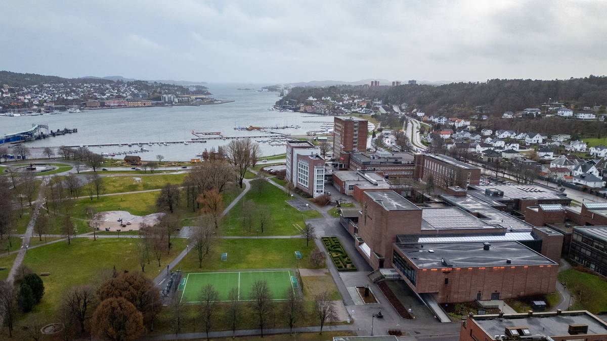 Bildet viser en oversiktsvinkel av en kystby med en havn og bygninger langs vannet. I forgrunnen ses en stor park med trær og en liten fotballbane. (Bildebeskrivelsen er laget av en KI-tjeneste)