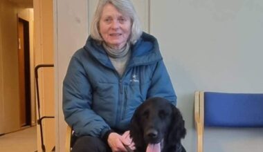 Hundeeier velger åtte timer i mørket på nyttårsaften – flykter fra fyrverkeri – NRK Troms og Finnmark