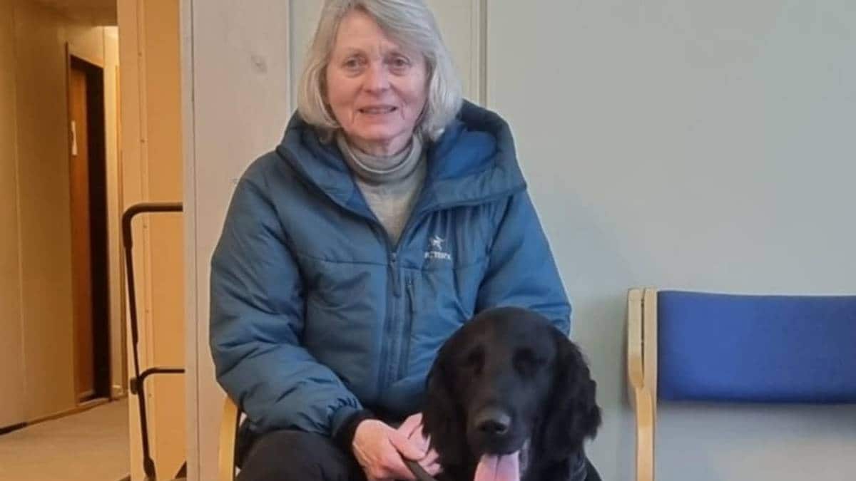 Hundeeier velger åtte timer i mørket på nyttårsaften – flykter fra fyrverkeri – NRK Troms og Finnmark