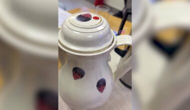 Veronica blir lurt på jobb – kan vere positivt for arbeidsmiljøet – NRK Østfold – Lokale nyheter, TV og radio