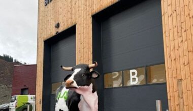 Nyheter, BIR | Nytt biogassanlegget åpnet: Epleskrotten du kaster vil få bussen til å rulle