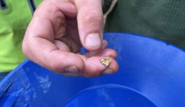 Gullklump på 0,8 gram, funnet i elva Gisna av Carl-David "Kalle" Granbäck.