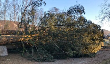 Uvêr herjar i Innlandet, Sverige og Finland – NRK Norge – Oversikt over nyheter fra ulike deler av landet