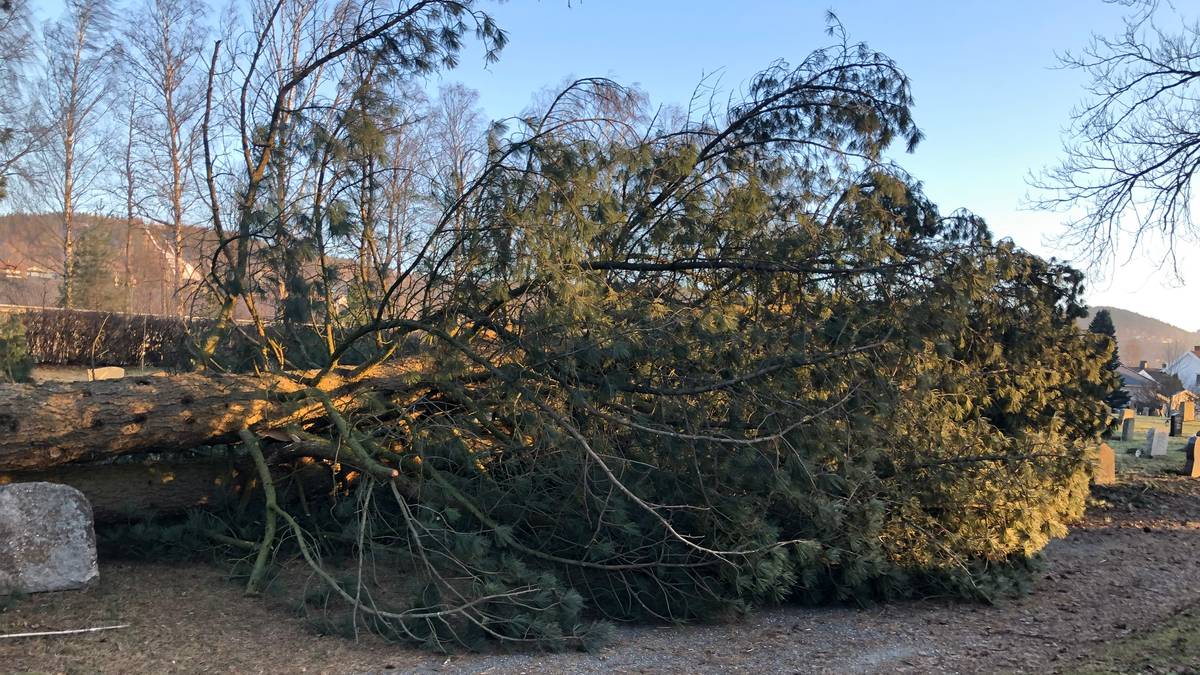 Uvêr herjar i Innlandet, Sverige og Finland – NRK Norge – Oversikt over nyheter fra ulike deler av landet