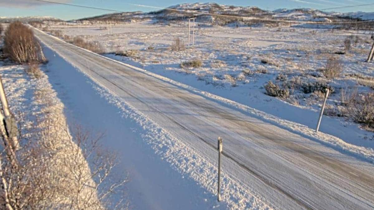 Bilde av Fv37 ved Raulandsfjellet, med snødekte veier og omgivelser. Det er klare himmelforhold og lav sol, som gir et klart lys i landskapet. Strømledninger og trær er synlige langs veien, mens snøen dekker bakken. Landskapet rundt er preget av fjell og åpen slette. (Bildebeskrivelsen er laget av en KI-tjeneste)