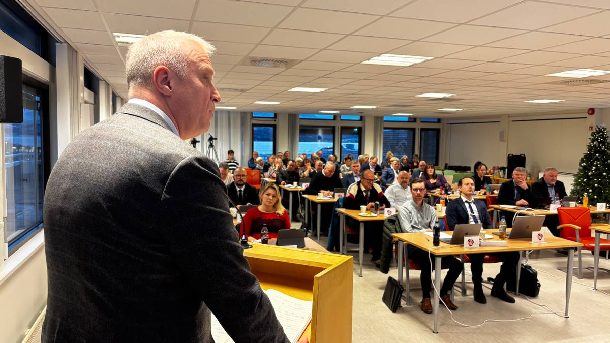 Et møterom med mange deltakere som sitter ved bord med datamaskiner, drikkevarer og notater. Foran i bildet står en person ved en talerstol, som henvender seg til publikum. Under møtet er det forskjellige oppsett av stoler, og et juletre er synlig i bakgrunnen. Rommet har store vinduer som slipper inn naturlig lys. (Bildebeskrivelsen er laget av en KI-tjeneste)