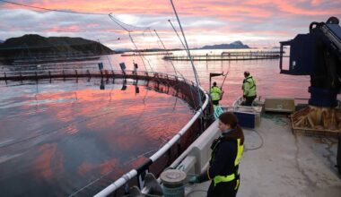 Sunniva Furnes, lærling, jobber på eine merda til torskeoppdrettsanlegget til Norcod utenfor Meløy