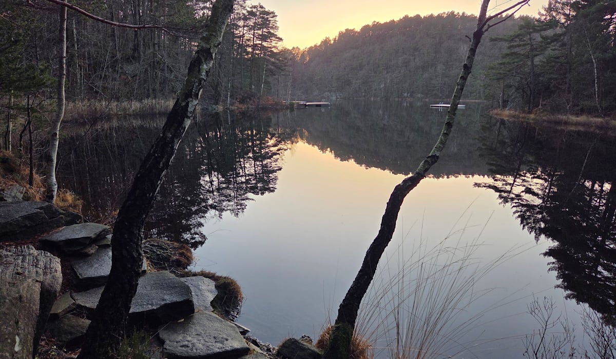 Er ofring av natur den rette veien til et grønt skifte?