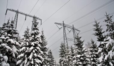 Kulden koster mange kraftkroner mandag.