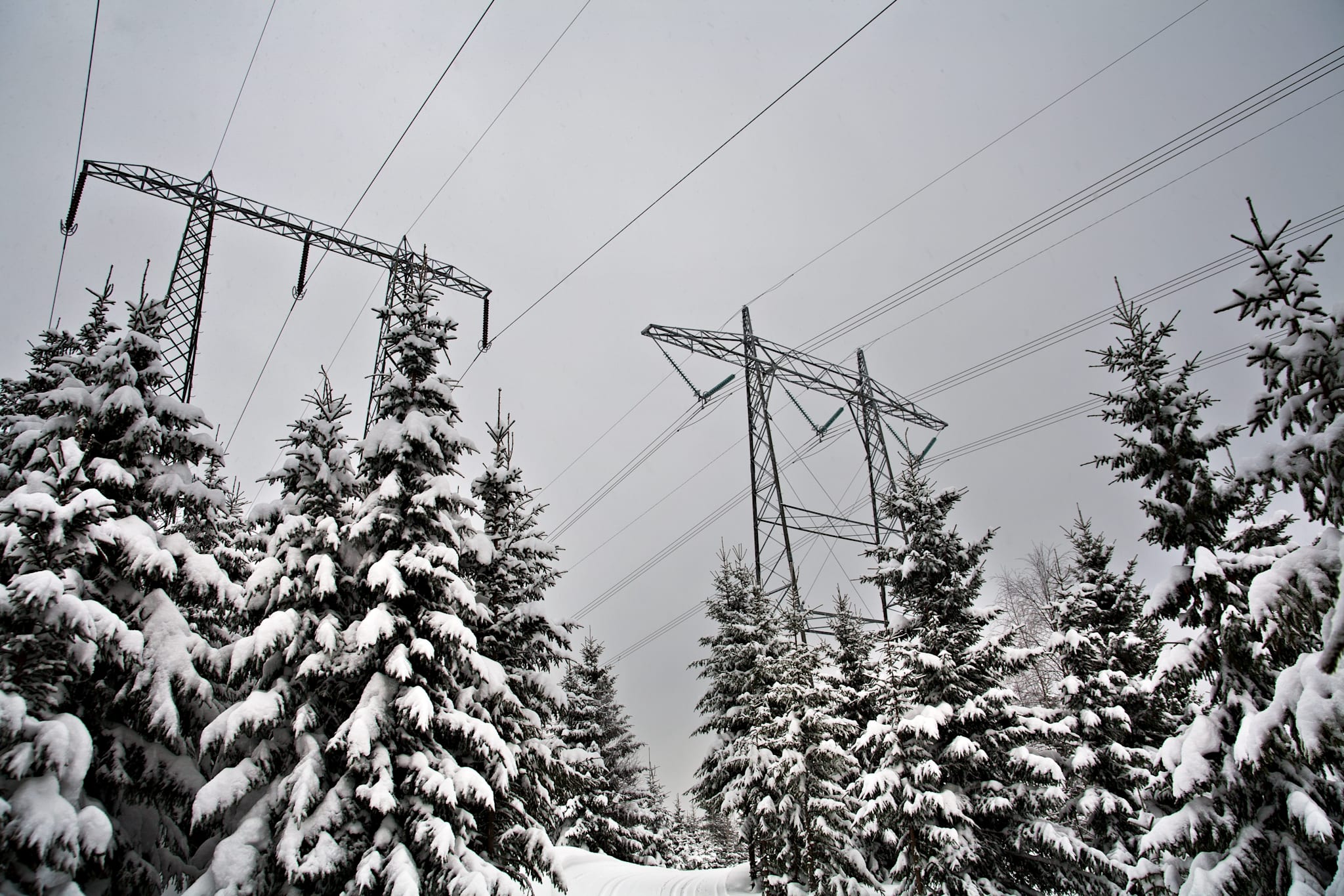 Kulden koster mange kraftkroner mandag. 