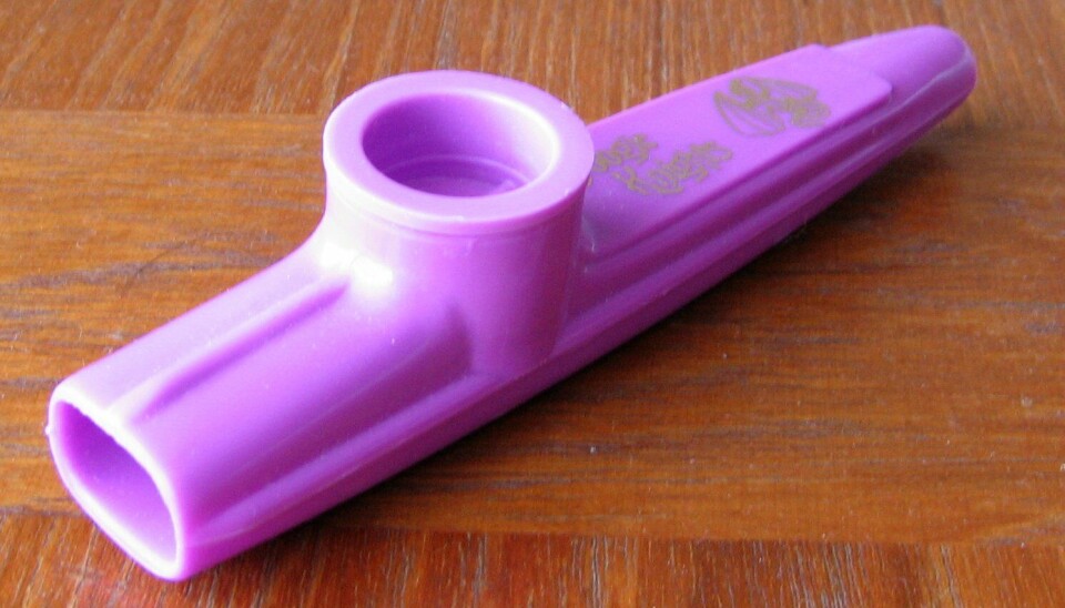 Lilla kazoo på trebord.