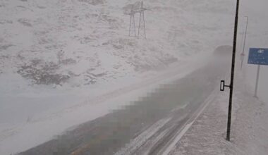 Trafikk, Seljestad | Kolonne over Seljestad