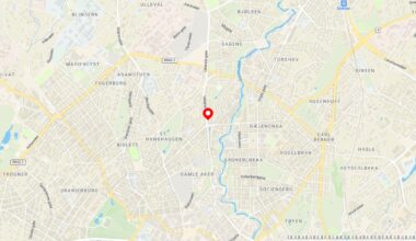 Stakk fra kontroll – tatt med skarpladd pistol