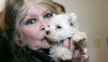 Brigitte Bardot døde av kreft