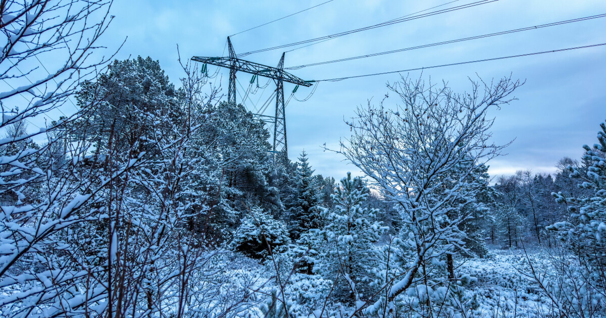 Nei, vi sløser ikke med strømmen