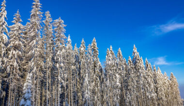 Knallforhold for skifolket i Sør-Norge denne helgen