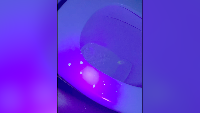 Bilde av Eline Hauger