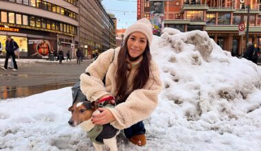 Sentrum, Trafikk og kollektiv | Hundeeiere i sjokk etter hendelsen på Jernbanetorget: – Vi går her hver dag - Avisa Oslo