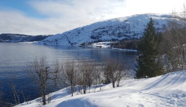 Vefsn kommune, Vikdal | Mange er i praksis avskåret fra å bruke hytta: – Vanskelig med båt, og hva med post