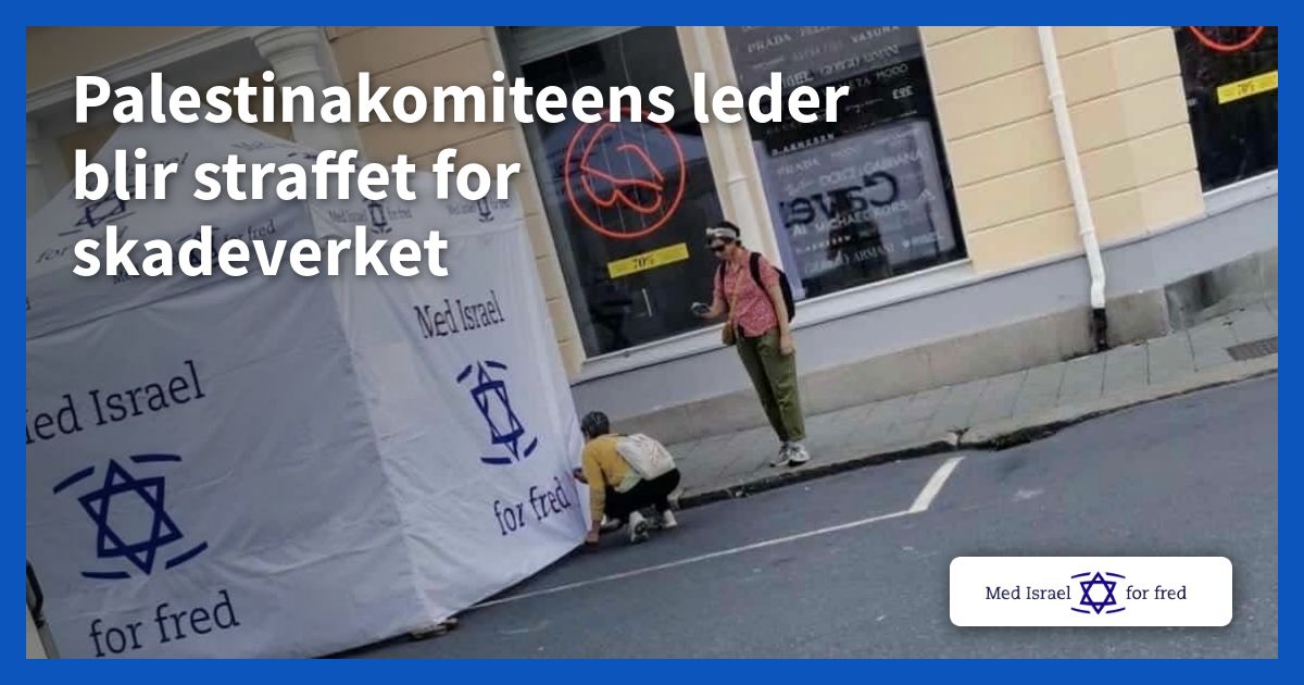 Palestinakomiteens leder blir straffet for skadeverket