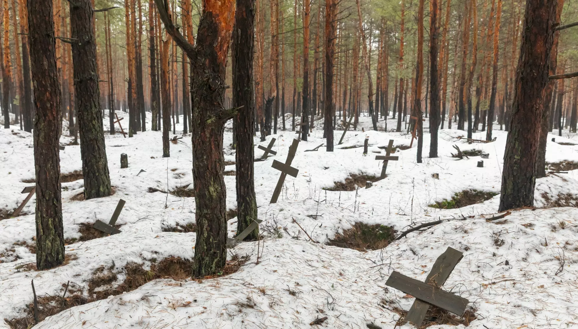 MANGE DØDE: Et stort antall gravplasser er spredt utover et skogsområde i Izium i Kharkiv-regionen, nordøst i Ukraina. Bildet er tatt i januar i år. Foto: Mykhaylo Palinchak / SOPA Images / Shutterstock / NTB