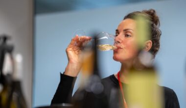 (+) Ukens vintips: Nyhetsslipp januar: Sara Døschers seks favoritter