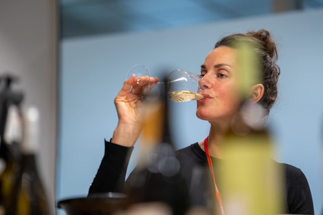 (+) Ukens vintips: Nyhetsslipp januar: Sara Døschers seks favoritter