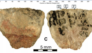 Verdens eldste giftvåpen funnet i Sør-Afrika