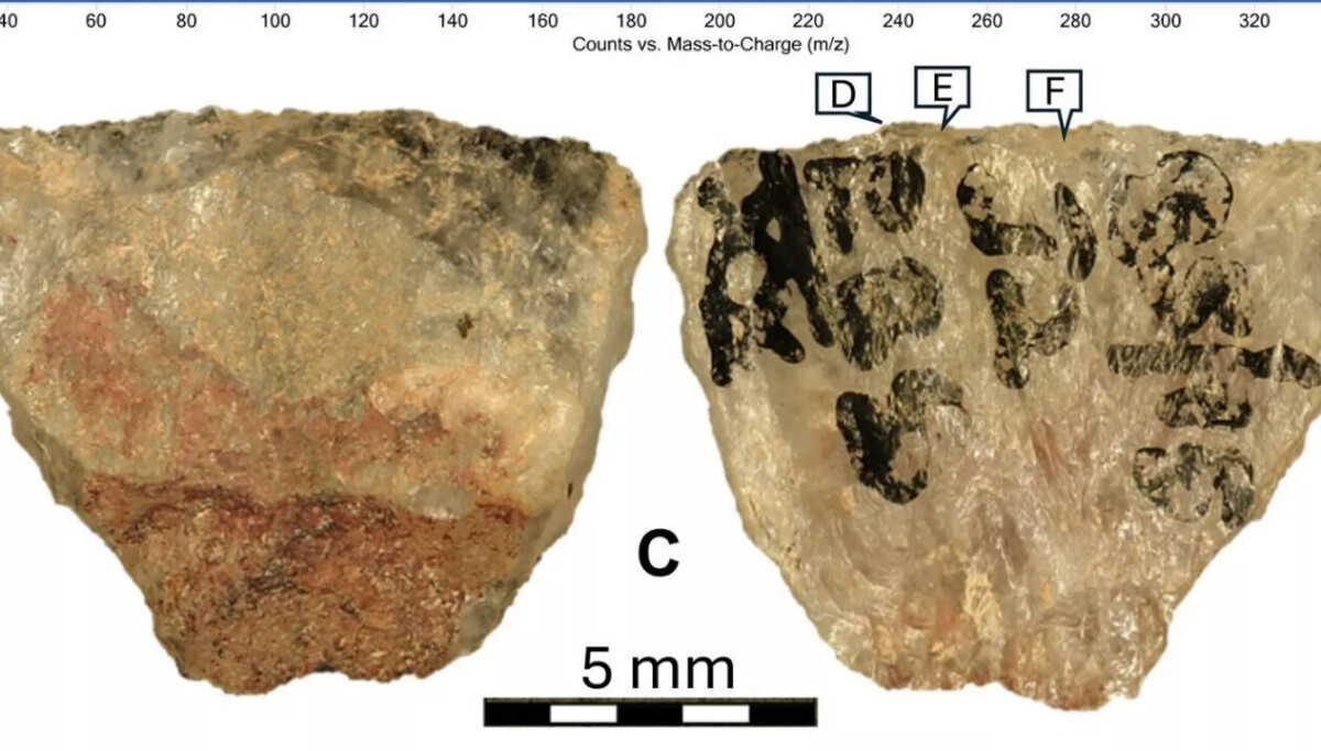 Verdens eldste giftvåpen funnet i Sør-Afrika
