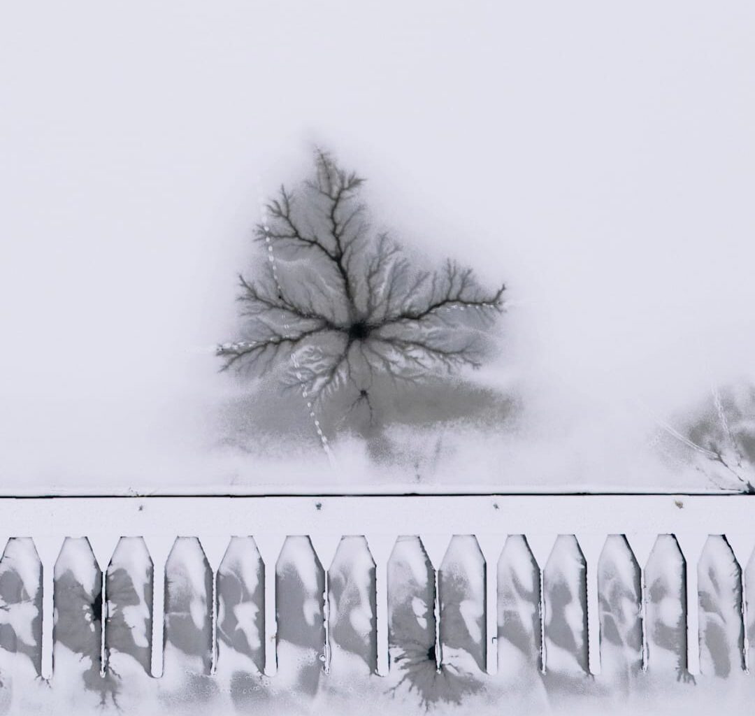 Bilde av Hallgeir Vågenes