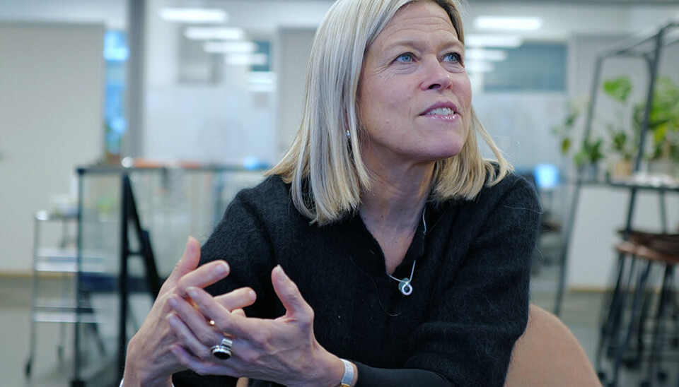 ØKONOMI OG ELITER: - Jeg interesserer meg for makt, sier statsviter og professor Benedicte Bull.