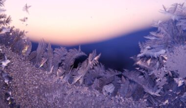 Bildet viser frostede iskrystaller på en vindusrute, med en pastelldempet soloppgang i bakgrunnen. Kanten av vinduet er prydet med detaljerte, filigran-liknende isformer. Fargene varierer fra blått til rosa, og bakgrunnen viser konturene av en fjellrygg. Bildet gir en følelse av vinter og tidlig morgenstemning. (Bildebeskrivelsen er laget av en KI-tjeneste)