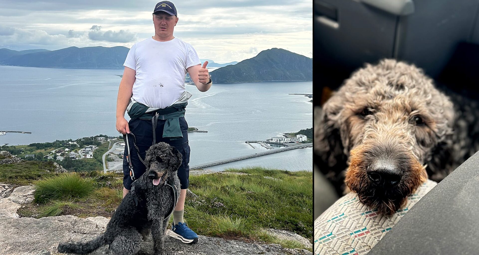 Hunden stakk av på nyttårsaften