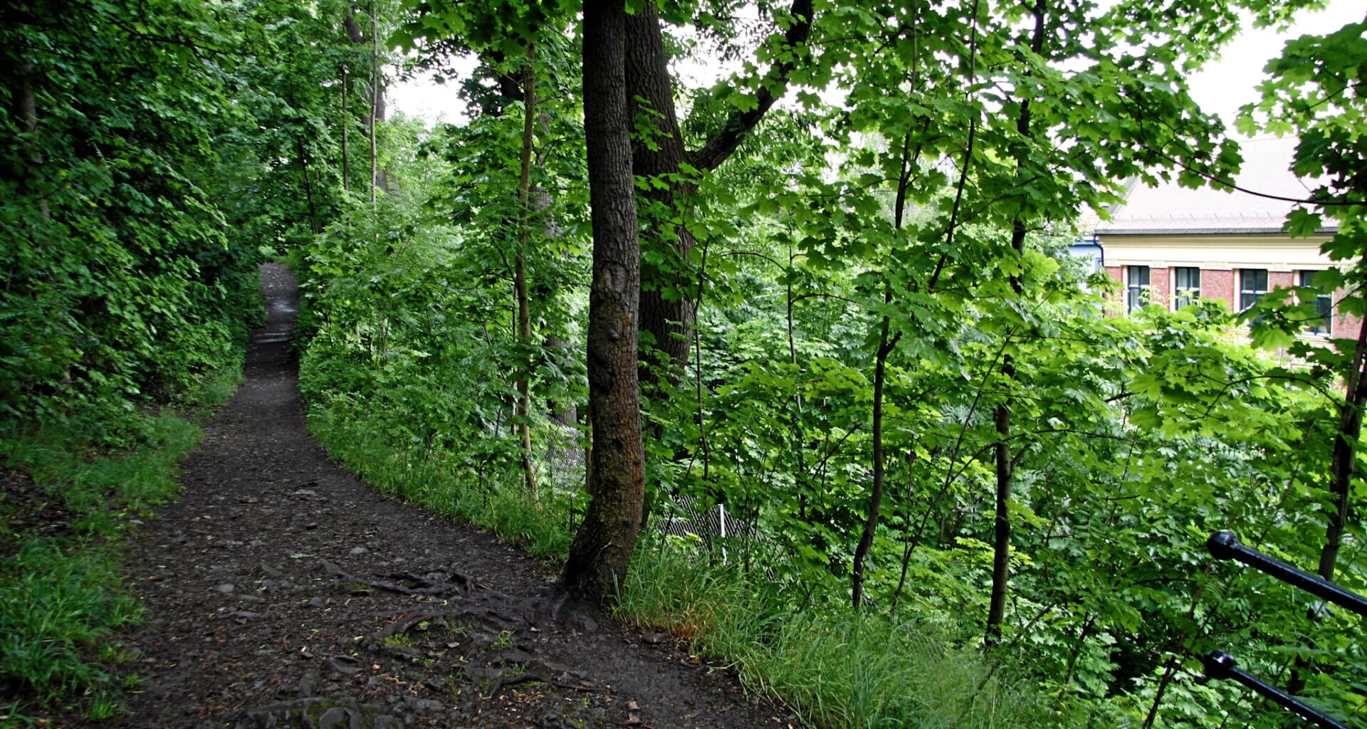 Lever man 11 år lenger av 15-minutters gåturer? Jeg mener nei, skriver Ivar Sønbø Kristiansen