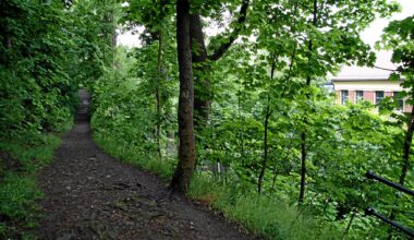 Lever man 11 år lenger av 15-minutters gåturer? Jeg mener nei, skriver Ivar Sønbø Kristiansen