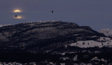 Fekk du ikkje med deg supermånen? Sjå biletserie her