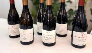 Test av 80 burgundere på Polets januarslipp (+) - Dagens Næringsliv