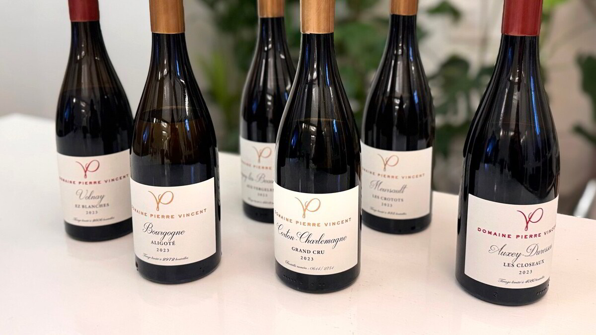 Test av 80 burgundere på Polets januarslipp (+) - Dagens Næringsliv