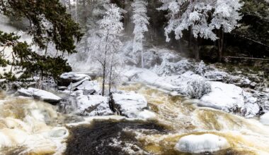 Økonomi, Forbruker | Bare 57 prosent har valgt norgespris der det lønner seg