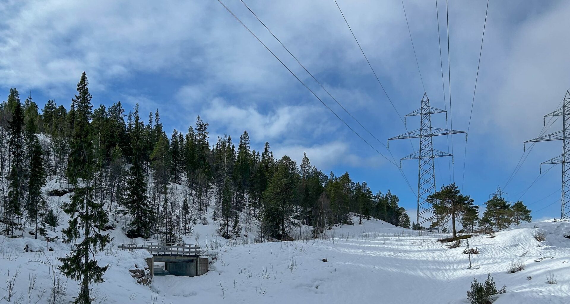 Strømpriser, Rana | I dag er strømprisen den høyeste i Rana på over to år