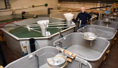 Nyheter, Næringsliv | Satte ned foten – vil ikke låne bort mer penger