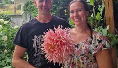 Camping, Lund | Bygdeidyll kan bli Norges beste bobilplass: – Vi ville skape noe lite, koselig og ekte