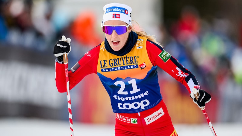 Bilde av Herman Folvik