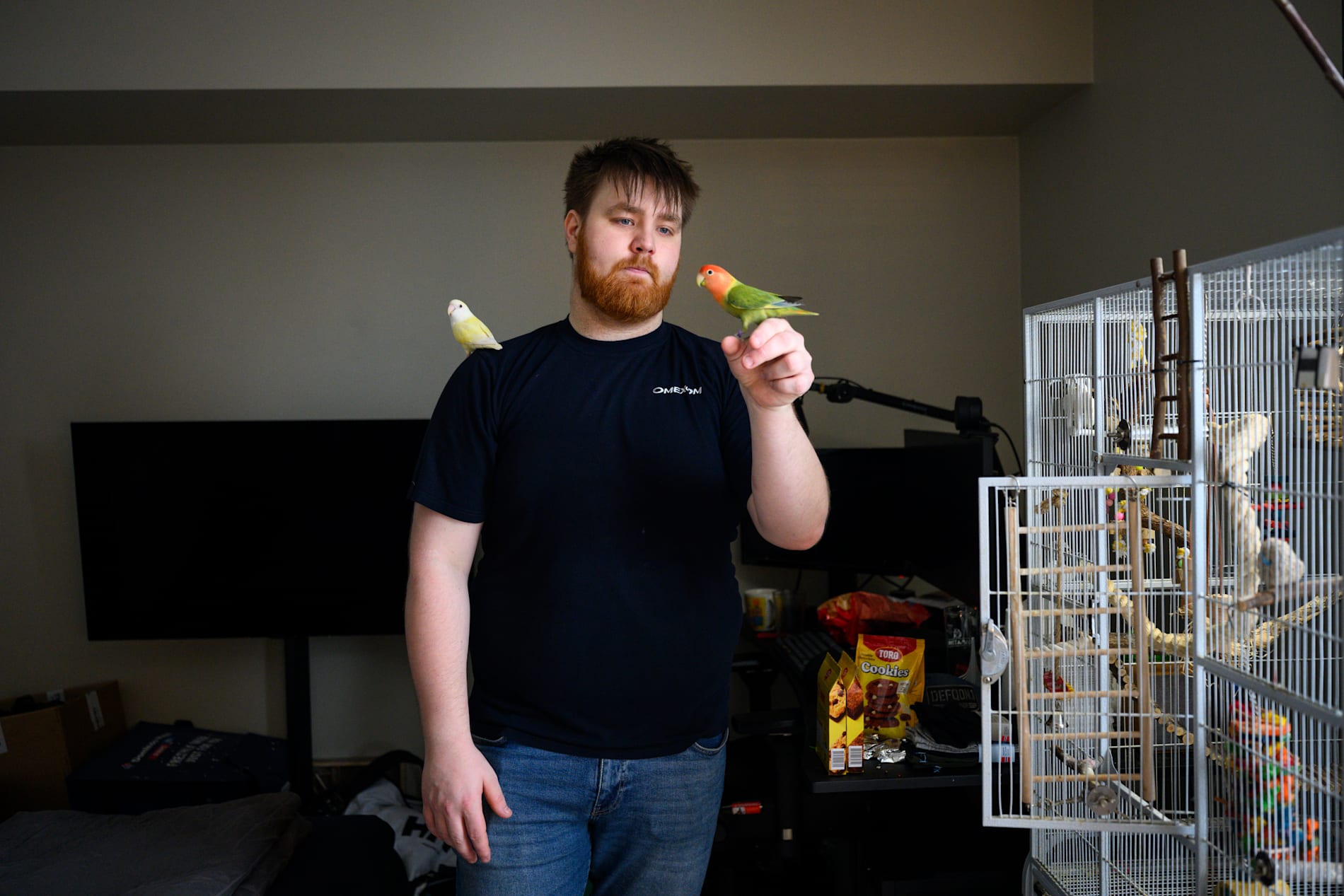 Niklas Adelsten Aurstad (26) frykter at han blir nødt til å ta med seg de to  dvergpapegøyene sine og flytte. 