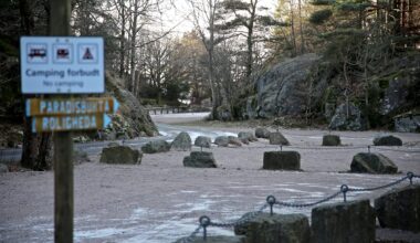 (+) Tenåring beklaget: – Det var utilgi­velig det vi gjorde - fvn.no