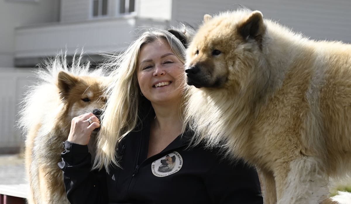 – Hundane blir vettskremde kvar einaste gong