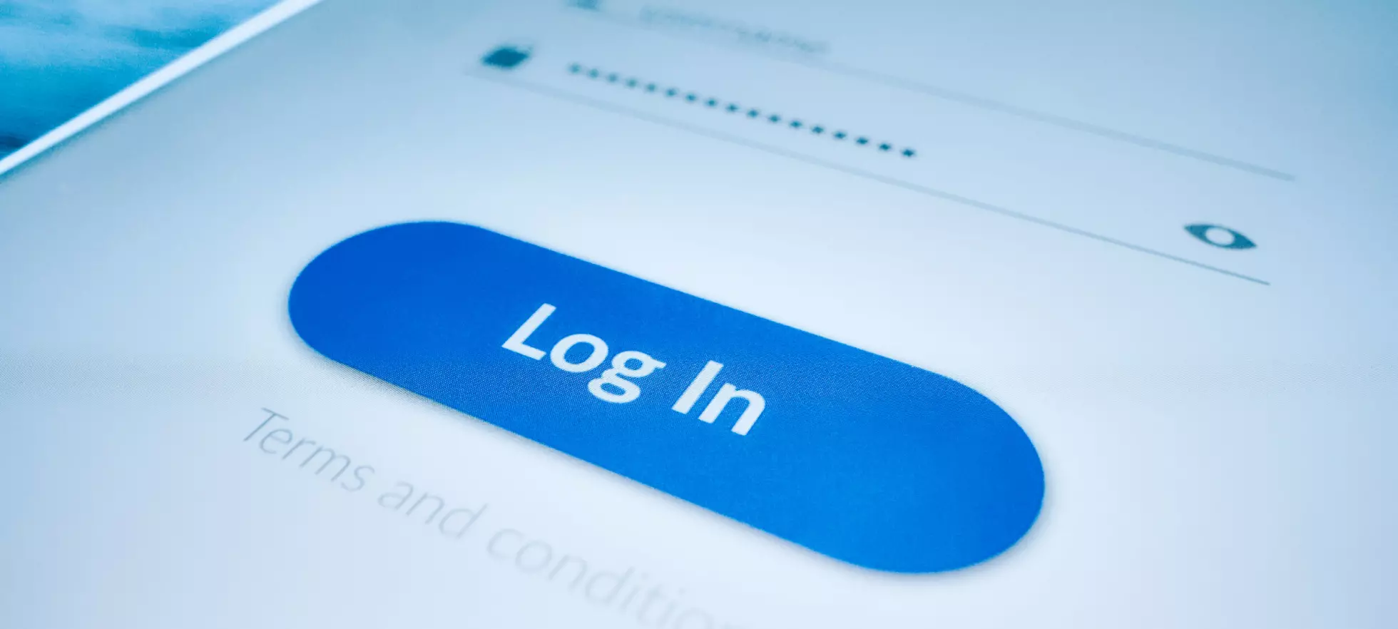 Disse passordene har «alle»