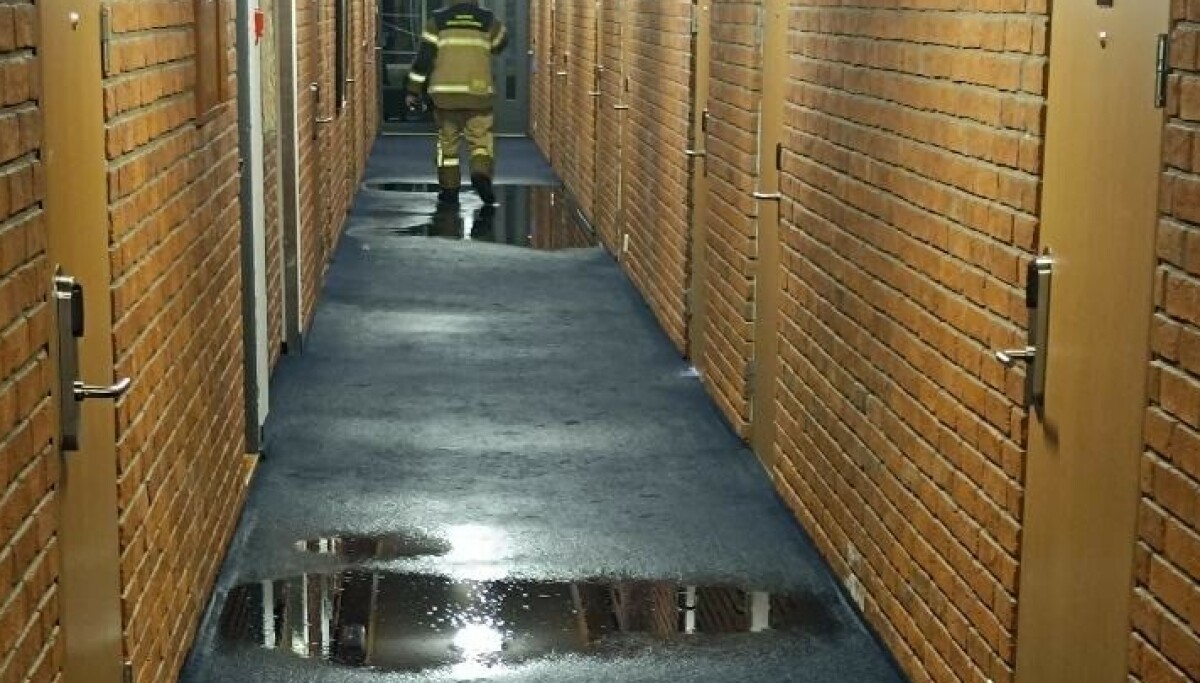 - Rant gjennom fire etasjer