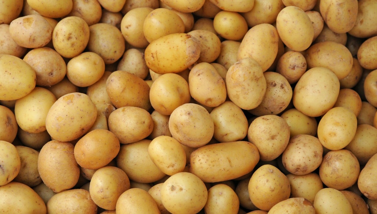 Oppsiktsvekkende funn i poteter